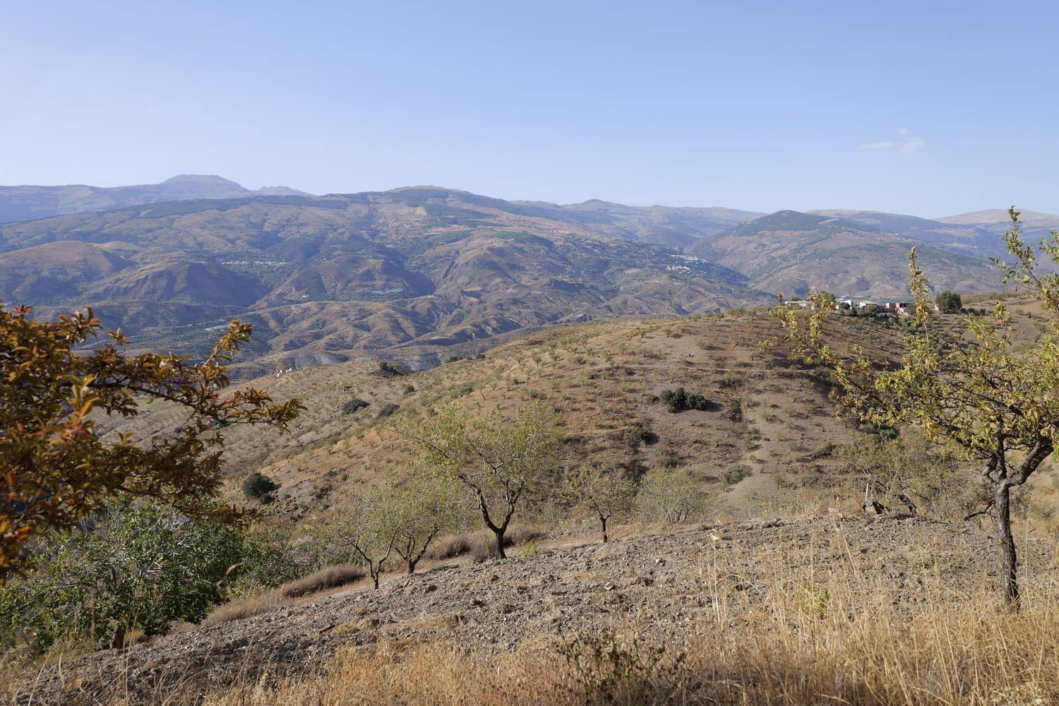 1 soveværelse Finca/Landehus til salg i Cadiar med garage - € 55.000 (Ref: 8553801)