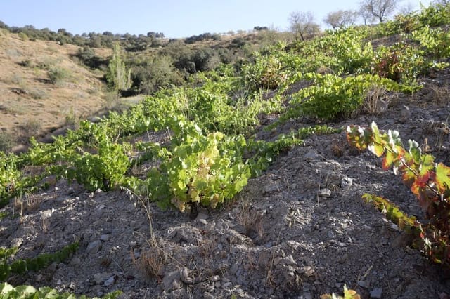 1 soveværelse Finca/Landehus til salg i Cádiar med garage - € 55.000 (Ref: 8553801)