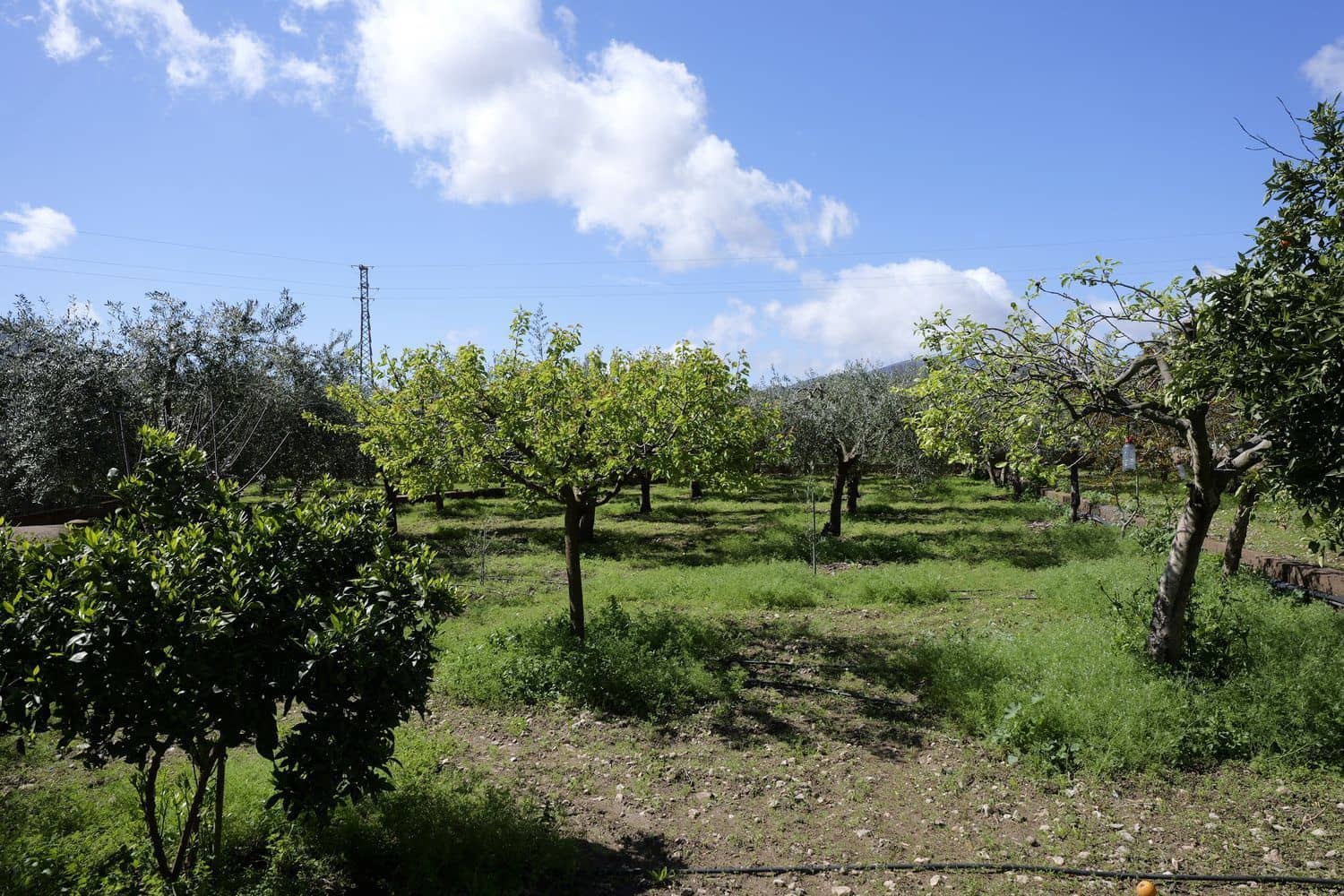2 bedroom Finca/Country House for sale in Berja with pool garage - € 150,000 (Ref: 8894403)