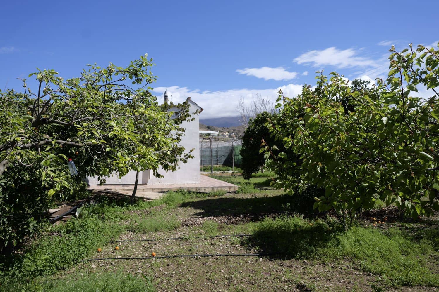 2 bedroom Finca/Country House for sale in Berja with pool garage - € 150,000 (Ref: 8894403)