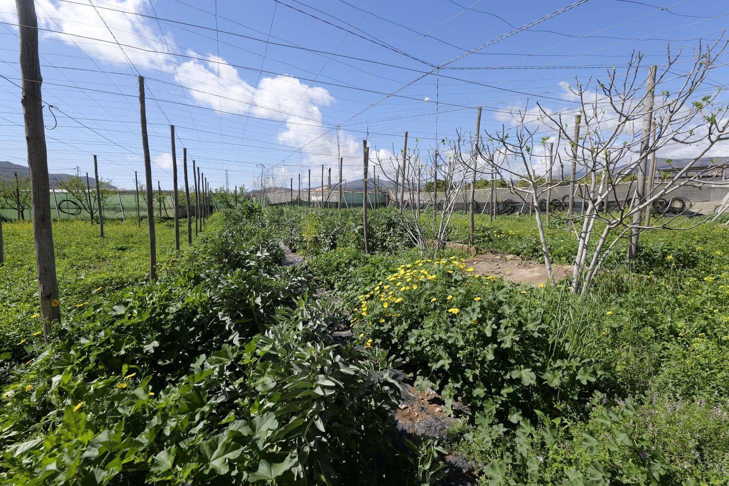 2 bedroom Finca/Country House for sale in Berja with pool garage - € 150,000 (Ref: 8894403)