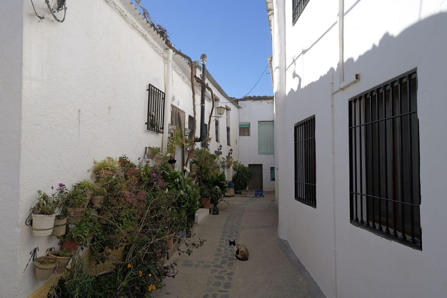 1 soverom Hus til salgs i Lobras - € 21 500 (Ref: 8914640)