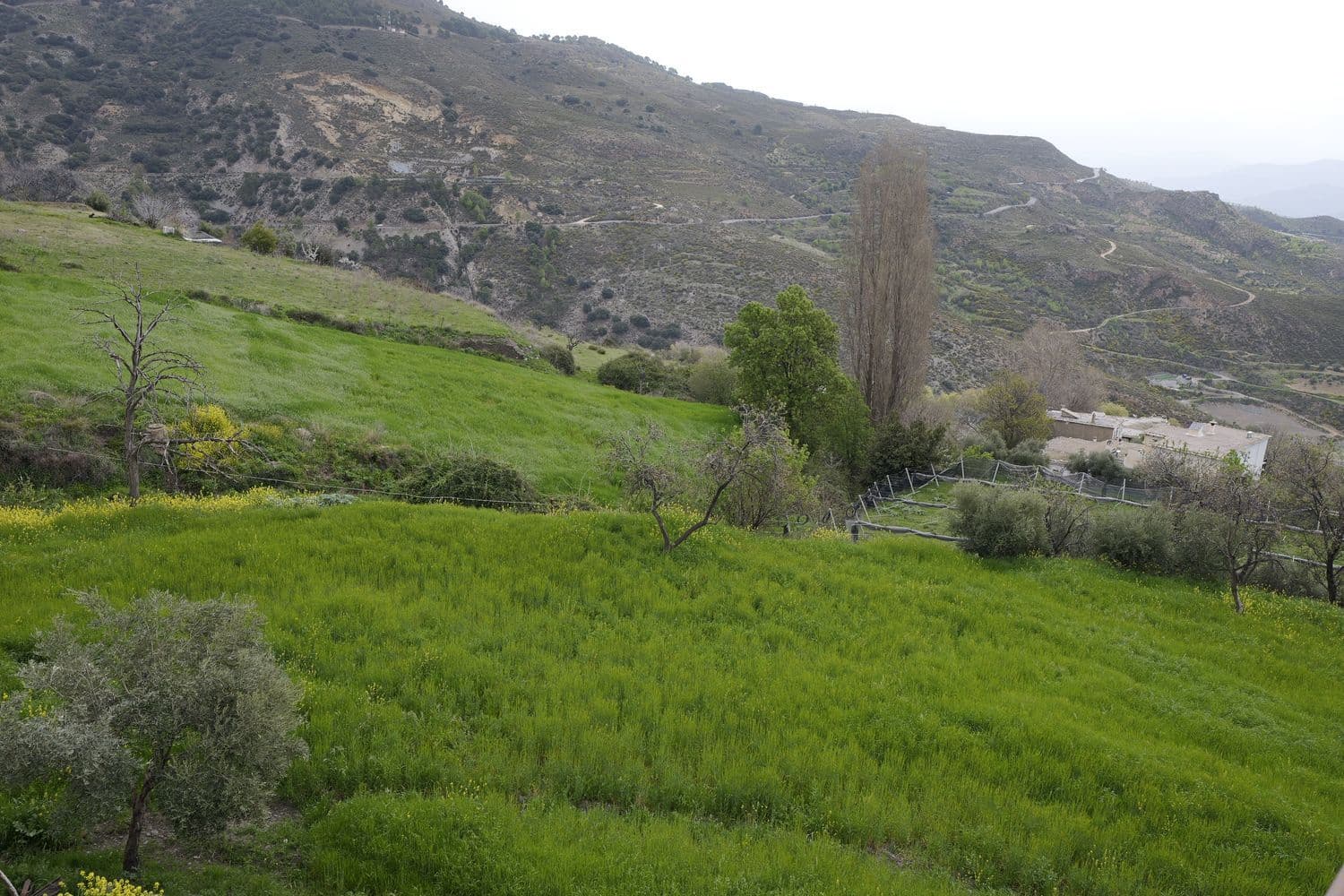 3 sovrum Hus till salu i Berchules med garage - 47 000 € (Ref: 8945851)