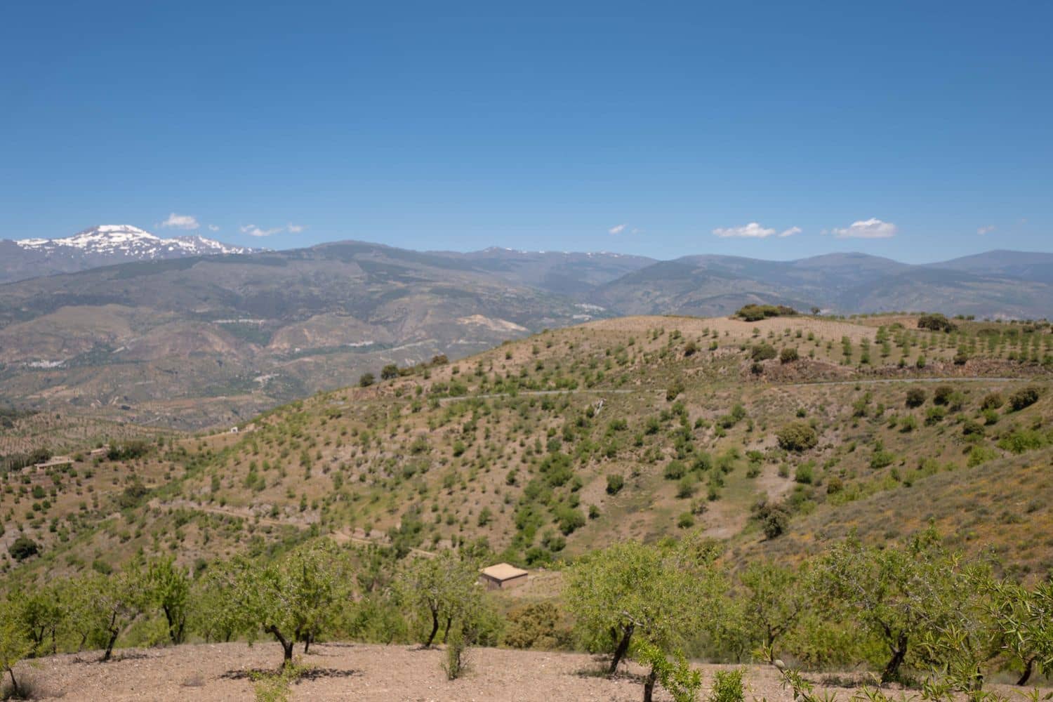 8 soveværelse Finca/Landehus til salg i Lobras - € 325.000 (Ref: 9016728)