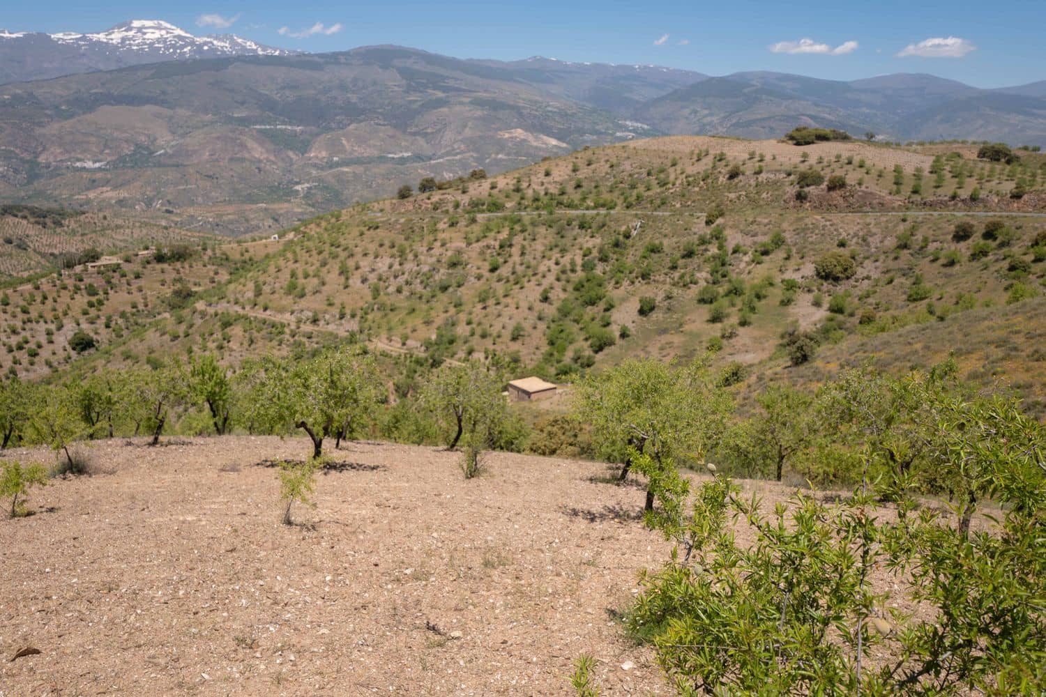 8 soveværelse Finca/Landehus til salg i Lobras - € 325.000 (Ref: 9016728)