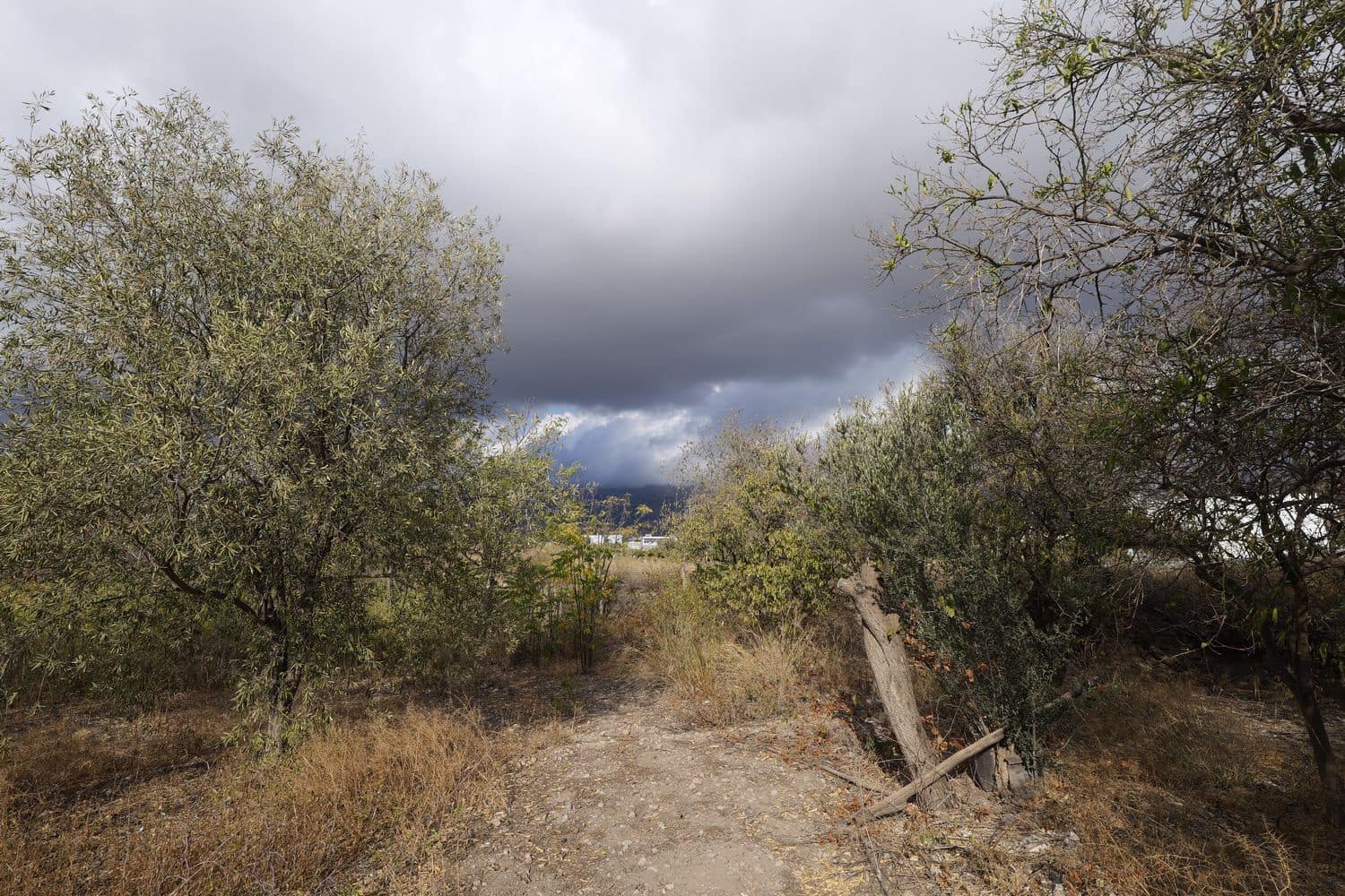 Ubebygd land til salgs i Berja - € 89 700 (Ref: 9280657)