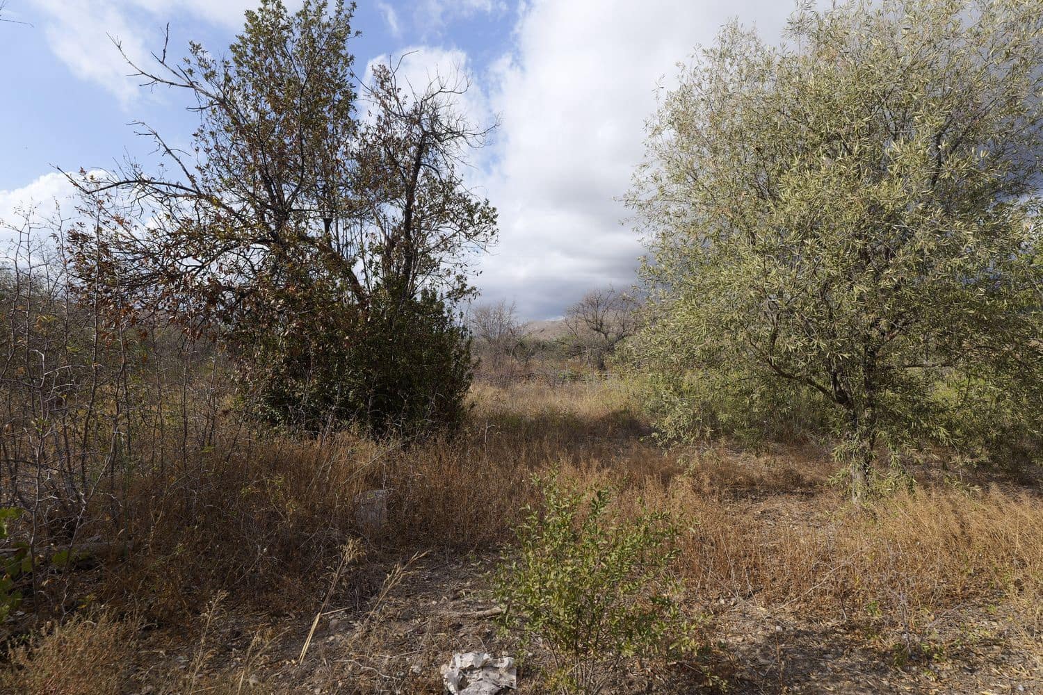 Ubebygd land til salgs i Berja - € 89 700 (Ref: 9280657)