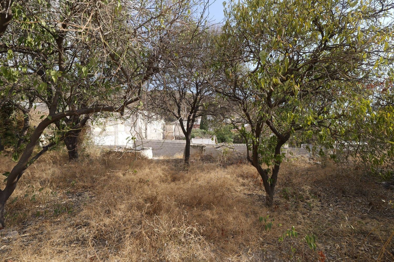 Ubebygd land til salgs i Berja - € 89 700 (Ref: 9280657)