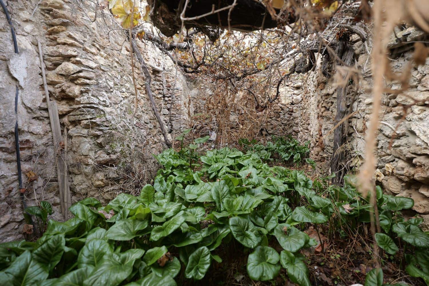 4 soveværelse Finca/Landehus til salg i Turon med garage - € 28.900 (Ref: 9335568)