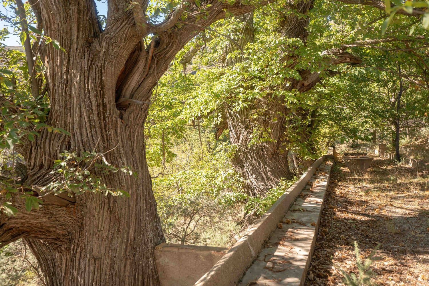 3 soverom Finca/Herregård til salgs i Valor med garasje - € 250 000 (Ref: 9371339)