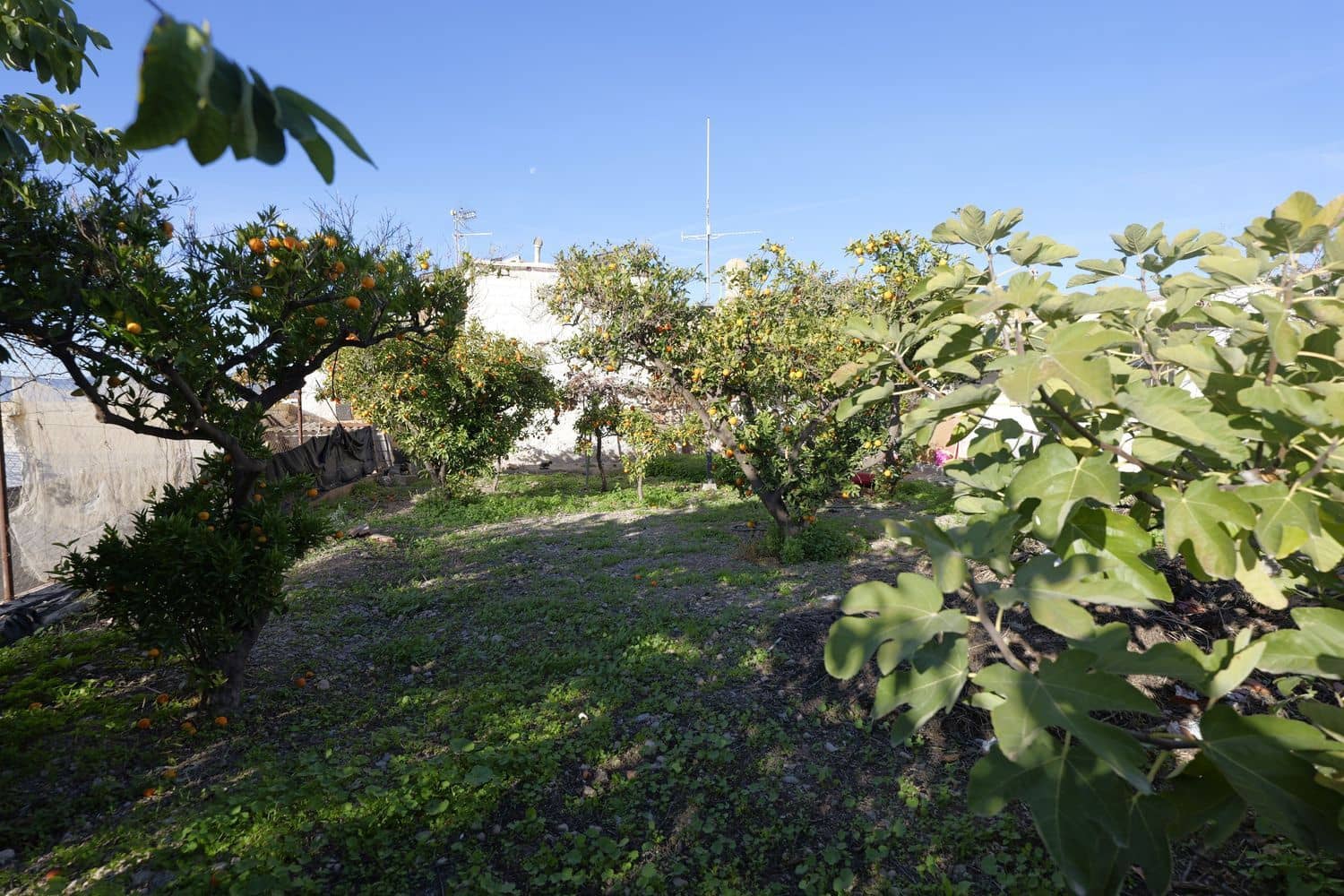 3 makuuhuone Omakotitalo myytävänä paikassa Berja mukana 
autotalli - 84 000 € (Ref: 9451762)