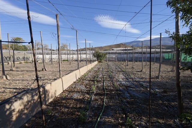 Terreno Não Urbanizado para venda em Berja - 27 000 € (Ref: 9483410)