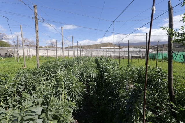 Terreno Não Urbanizado para venda em Berja - 27 000 € (Ref: 9483410)