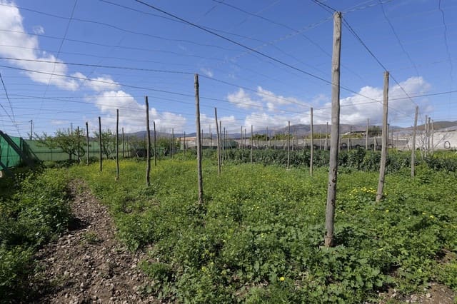 Terreno Não Urbanizado para venda em Berja - 27 000 € (Ref: 9483410)