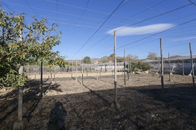 Terreno Não Urbanizado para venda em Berja - 27 000 € (Ref: 9483410)