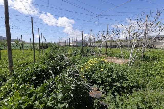 Terreno Não Urbanizado para venda em Berja - 27 000 € (Ref: 9483410)