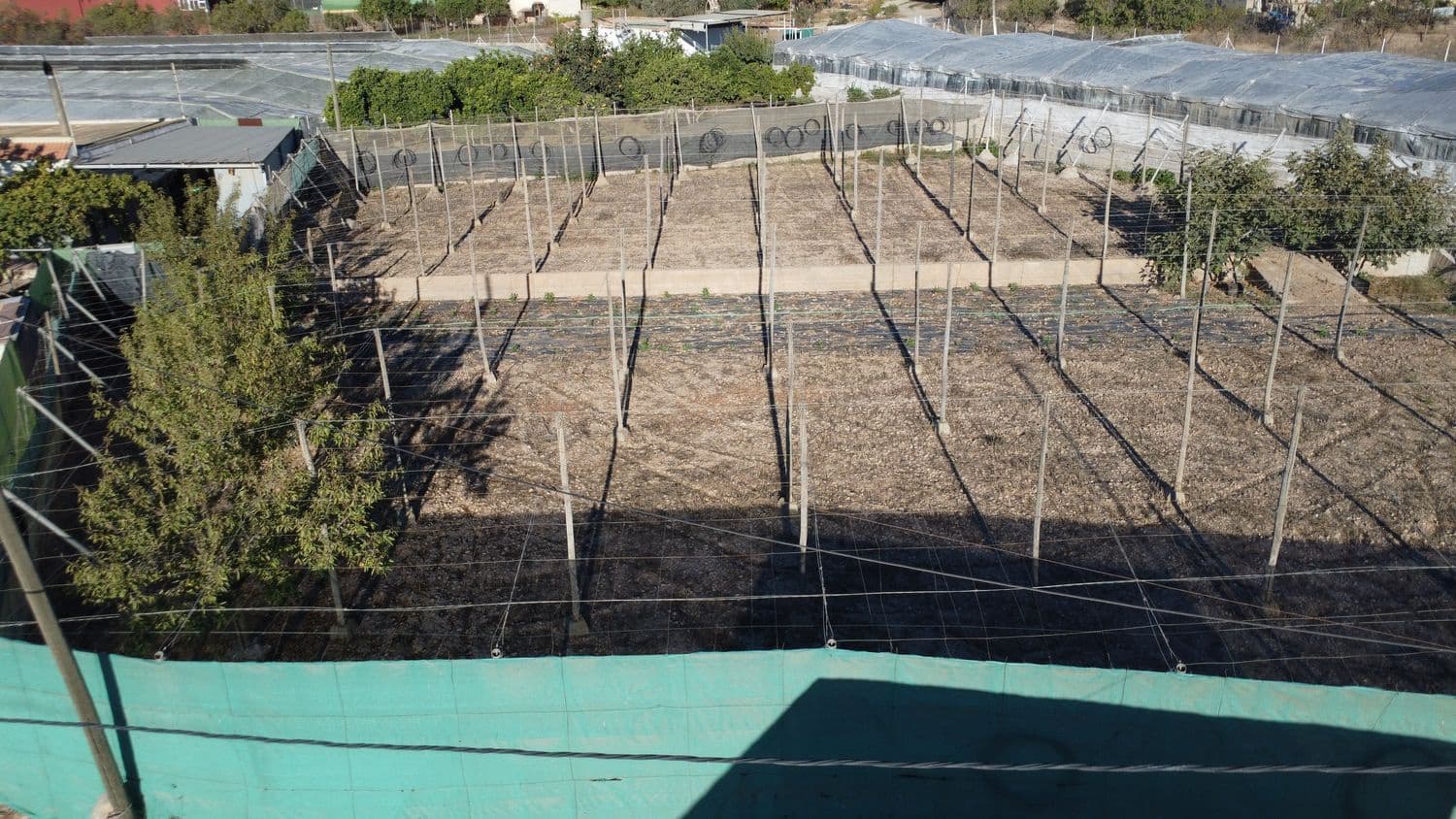 Terreno Não Urbanizado para venda em Berja - 27 000 € (Ref: 9483410)