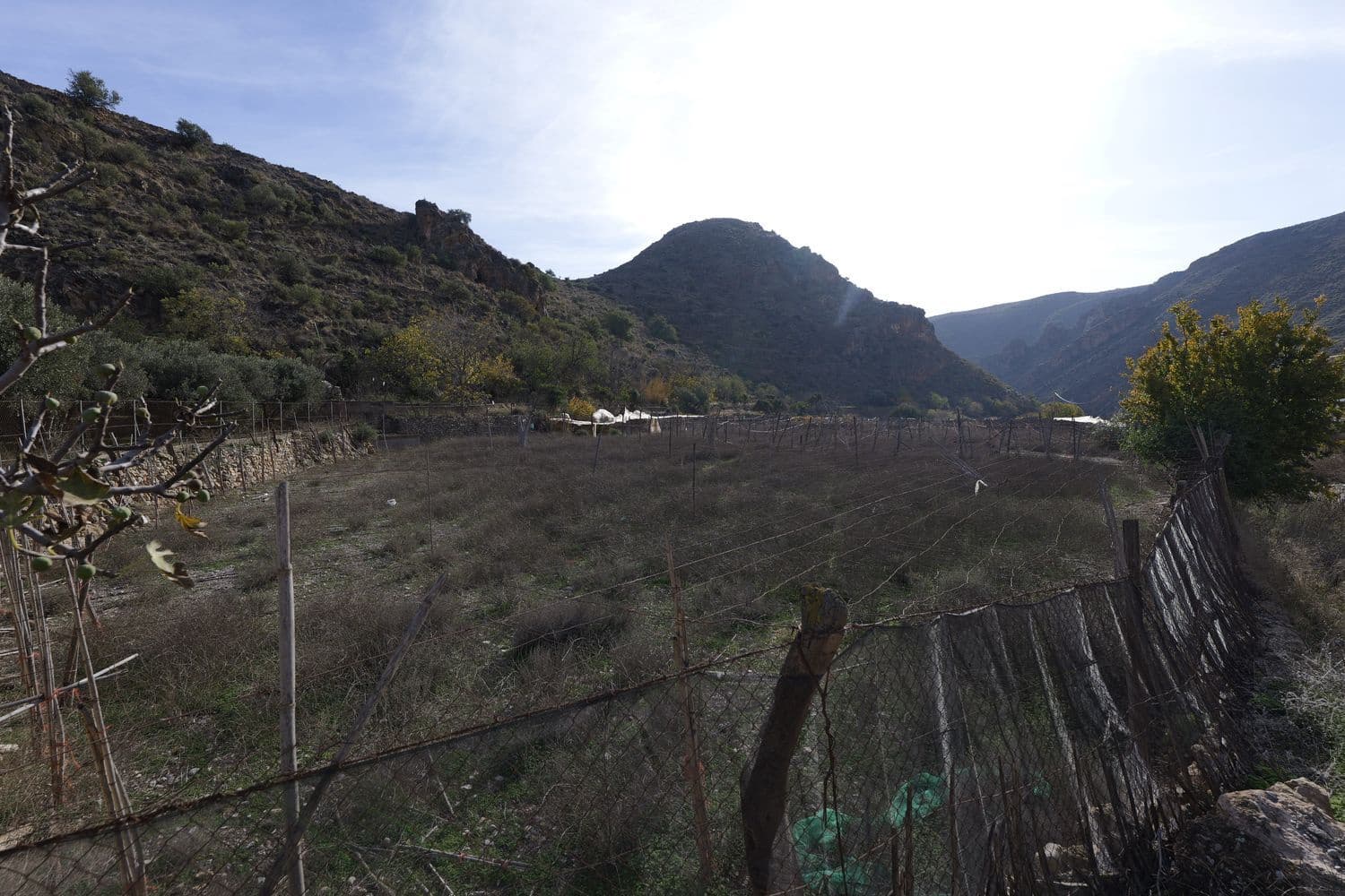 Ubebygd land til salgs i Dalias - € 200 000 (Ref: 9550553)