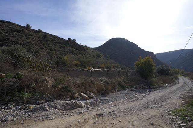 Ubebygd land til salgs i Dalías - € 200 000 (Ref: 9550553)