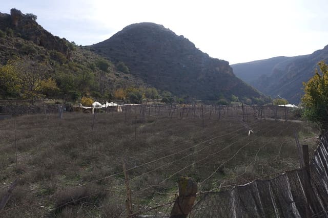 Ubebygd land til salgs i Dalías - € 200 000 (Ref: 9550553)