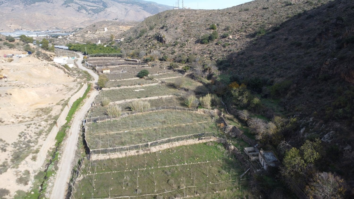 Ubebygd land til salgs i Dalias - € 200 000 (Ref: 9550553)