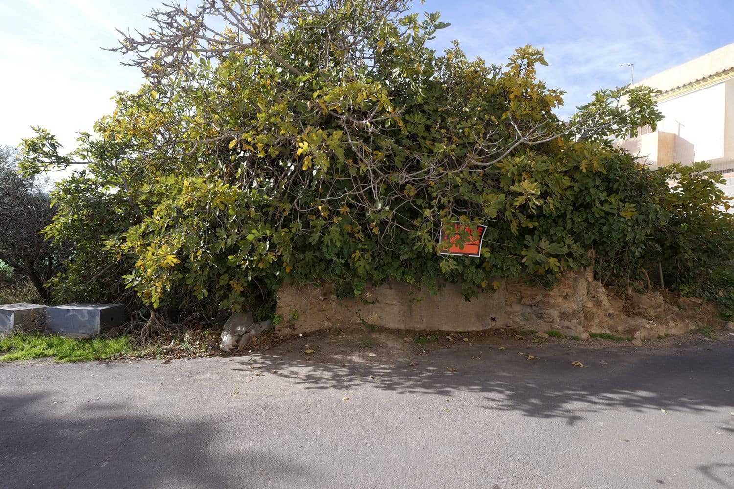 Undeveloped Land for sale in Dalias - € 59,000 (Ref: 9581391)