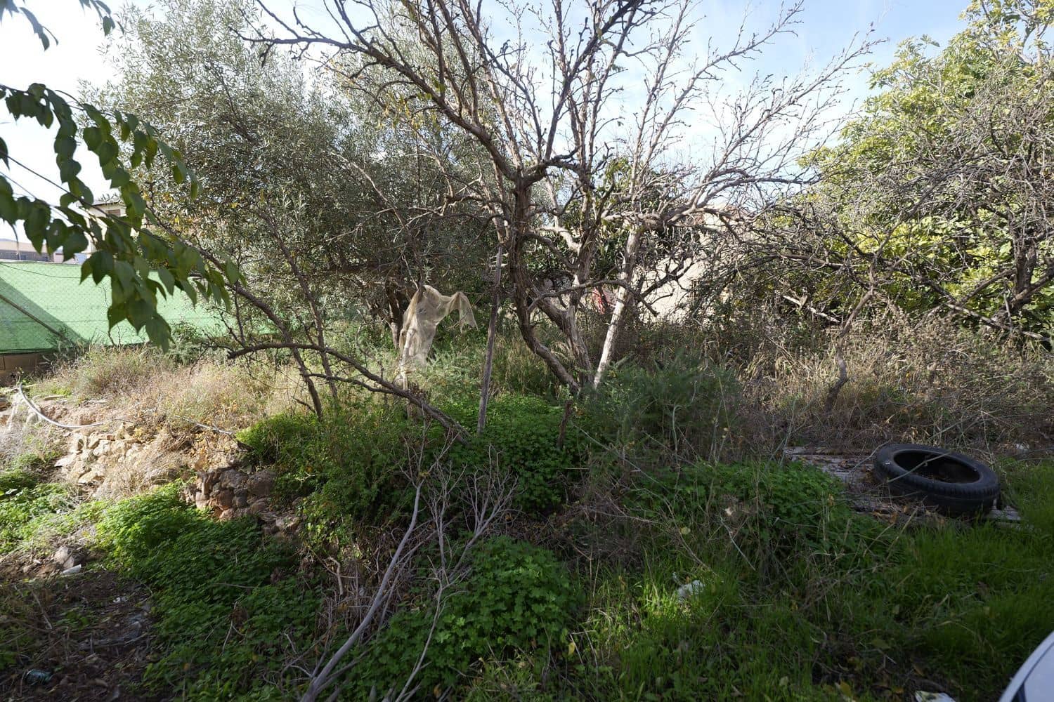 Undeveloped Land for sale in Dalias - € 59,000 (Ref: 9581391)