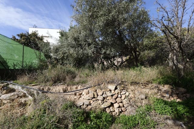 Undeveloped Land for sale in Dalías - € 59,000 (Ref: 9581391)