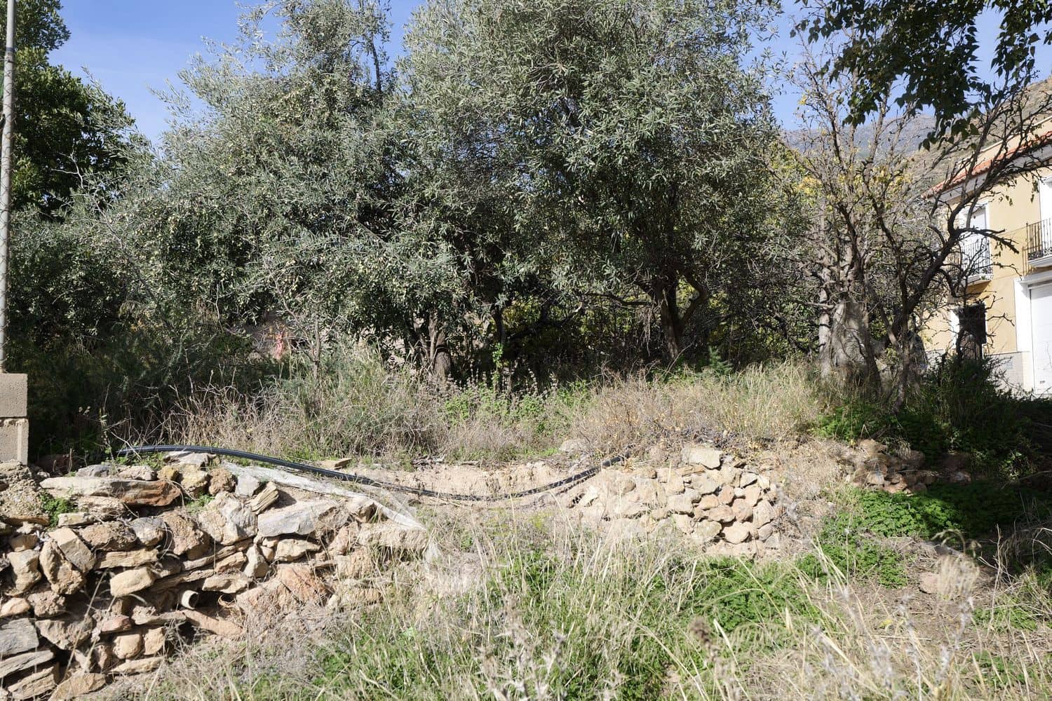 Undeveloped Land for sale in Dalias - € 59,000 (Ref: 9581391)