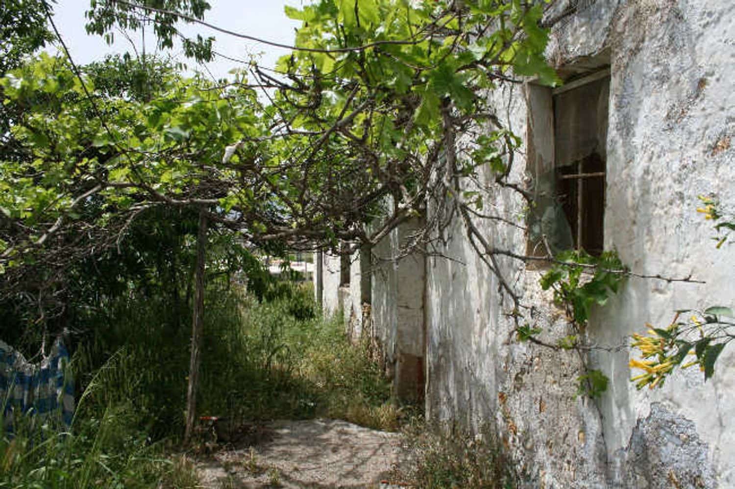 Undeveloped Land for sale in Berja - € 5,900 (Ref: 9721031)