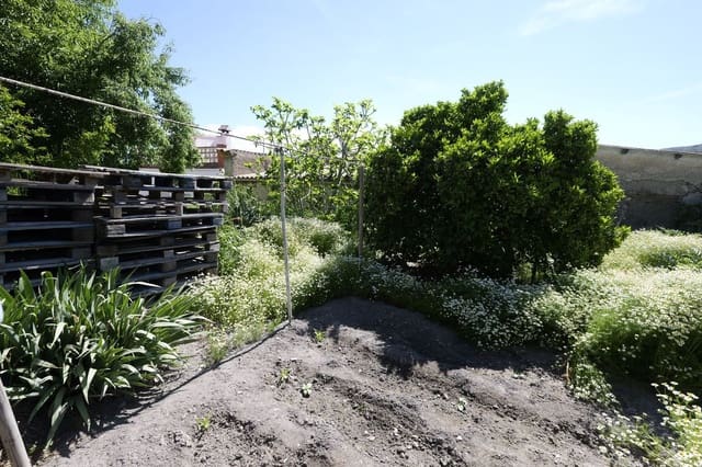 3 sypialnia Dom na sprzedaż w Turón z garażem - 19 500 € (Ref: 9805961)