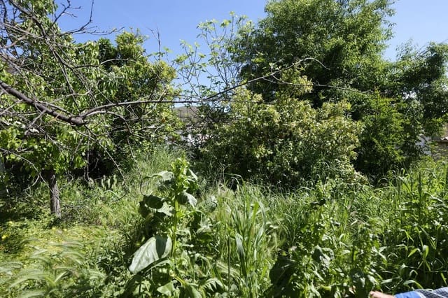 3 sypialnia Dom na sprzedaż w Turón z garażem - 19 500 € (Ref: 9805961)