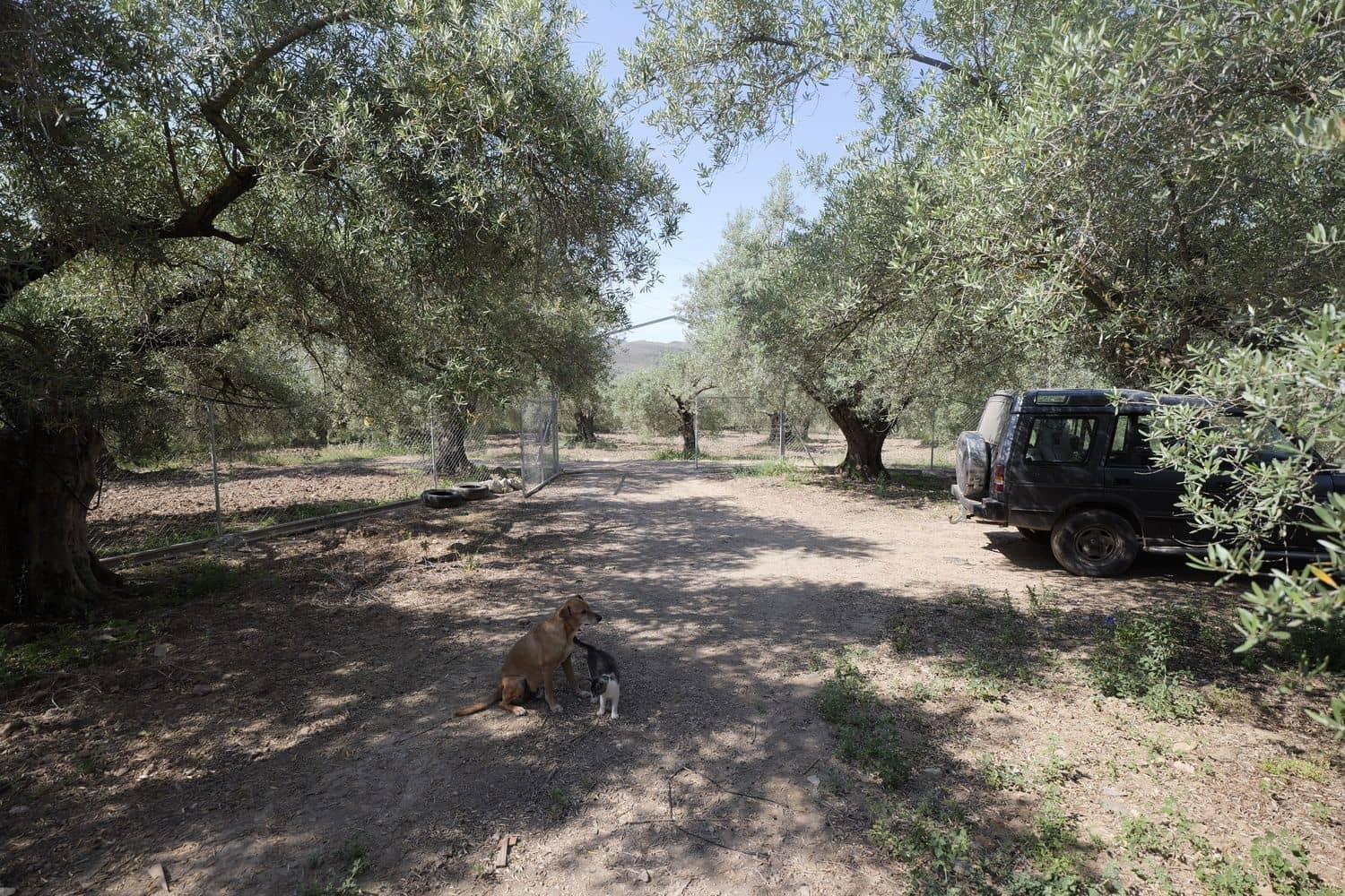 Quinta/Casa Rural para venda em Ugijar com garagem - 59 000 € (Ref: 9888634)