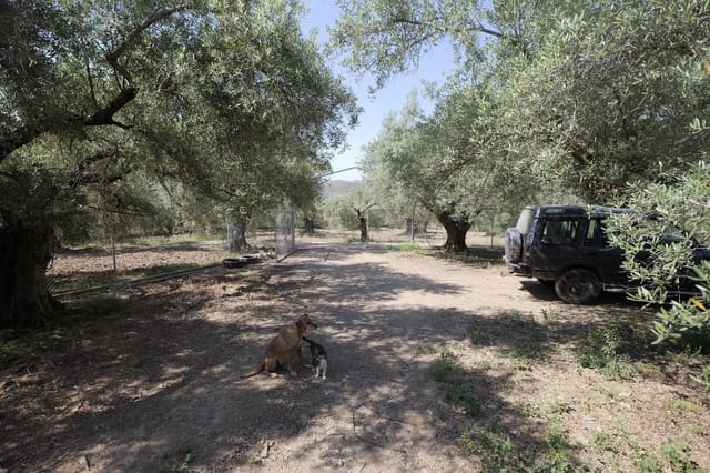 Quinta/Casa Rural para venda em Ugíjar com garagem - 59 000 € (Ref: 9888634)