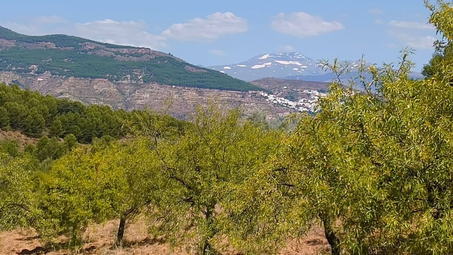 1 chambre Finca/Maison de Campagne à vendre à Turon avec garage - 55 000 € (Ref: 9937342)