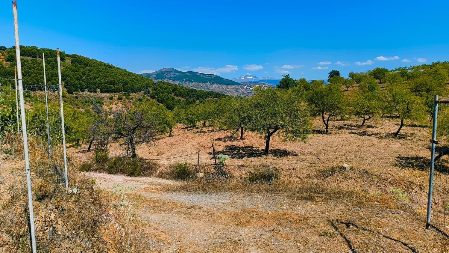 1 chambre Finca/Maison de Campagne à vendre à Turon avec garage - 55 000 € (Ref: 9937342)