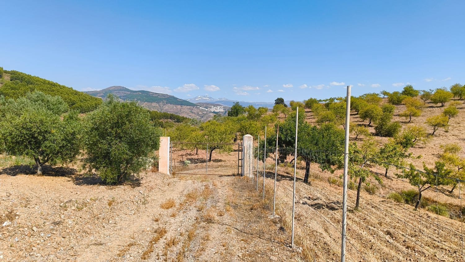 1 chambre Finca/Maison de Campagne à vendre à Turon avec garage - 55 000 € (Ref: 9937342)