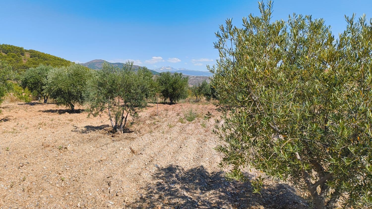 1 chambre Finca/Maison de Campagne à vendre à Turon avec garage - 55 000 € (Ref: 9937342)