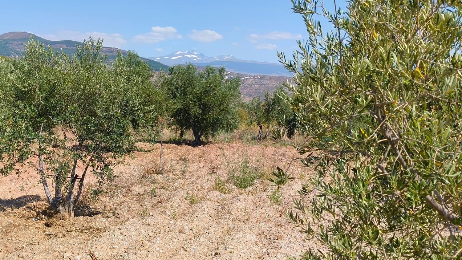 1 chambre Finca/Maison de Campagne à vendre à Turon avec garage - 55 000 € (Ref: 9937342)