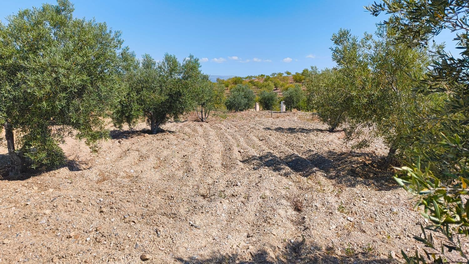 1 chambre Finca/Maison de Campagne à vendre à Turon avec garage - 55 000 € (Ref: 9937342)