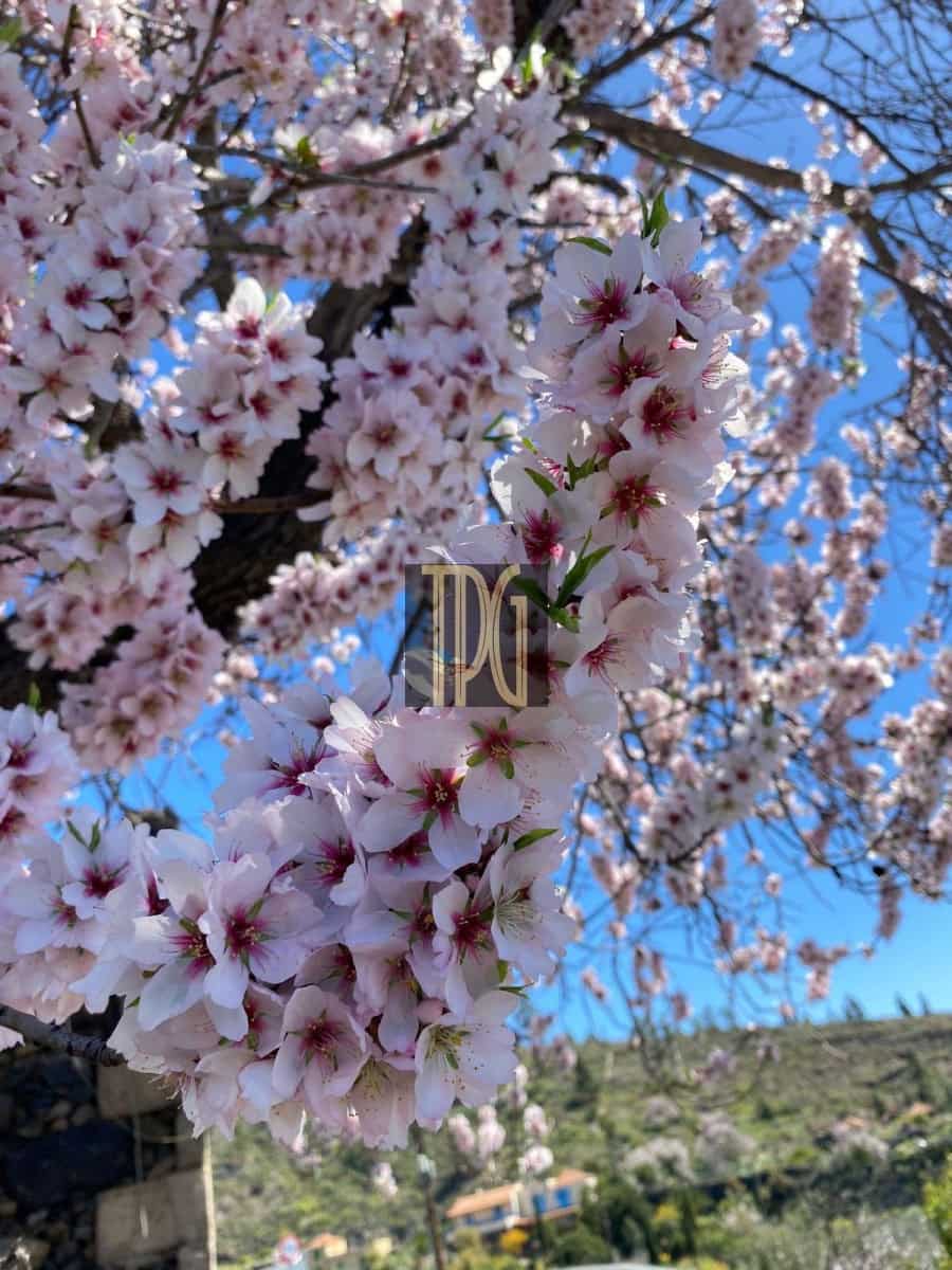 3 soveværelse Finca/Landehus til salg i Guia de Isora - € 546.000 (Ref: 8529269)