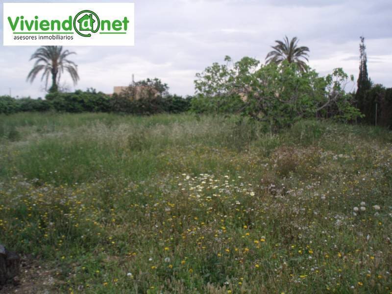 Area Edificabile in vendita in Elche / Elx - 1.400.000 € (Rif: 3869739)