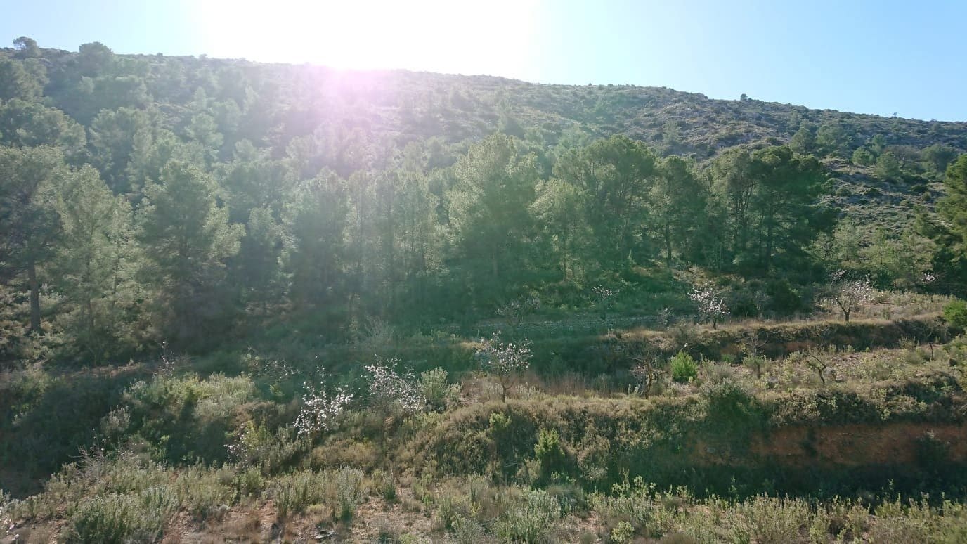 Terrain à Bâtir à vendre à Totana - 40 000 € (Ref: 7166410)