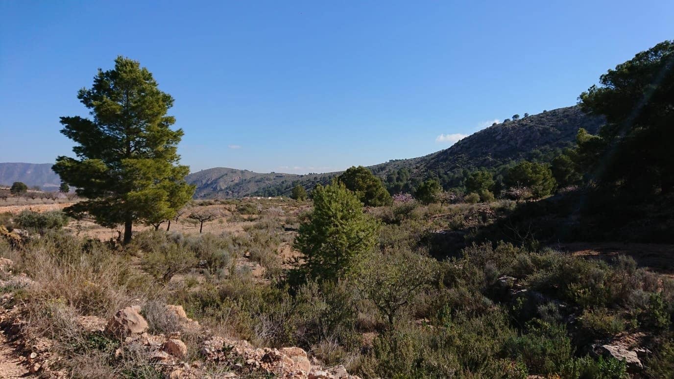 Terrain à Bâtir à vendre à Totana - 40 000 € (Ref: 7166410)