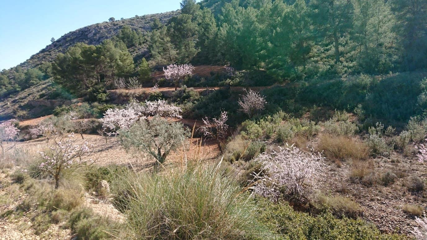 Terrain à Bâtir à vendre à Totana - 40 000 € (Ref: 7166410)