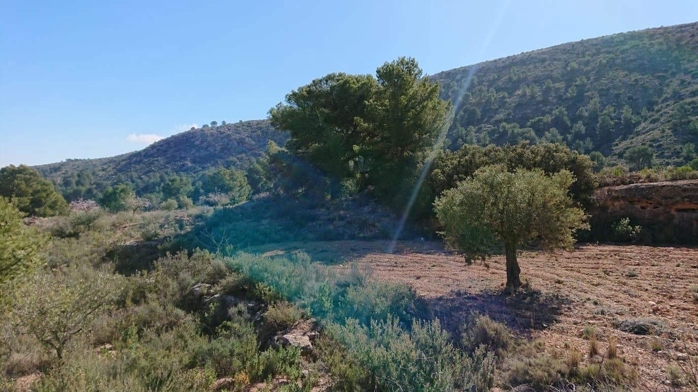 Terrain à Bâtir à vendre à Totana - 40 000 € (Ref: 7166410)