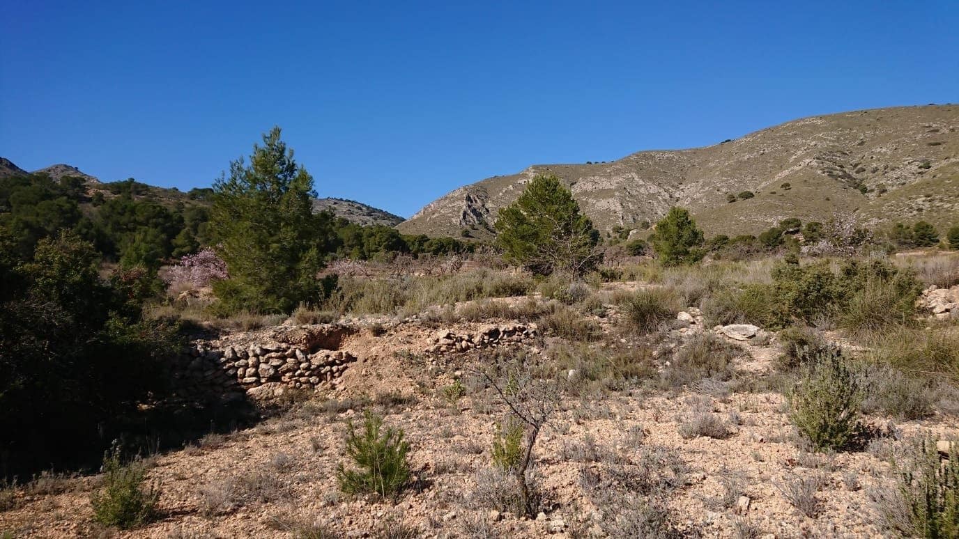 Terrain à Bâtir à vendre à Totana - 40 000 € (Ref: 7166410)