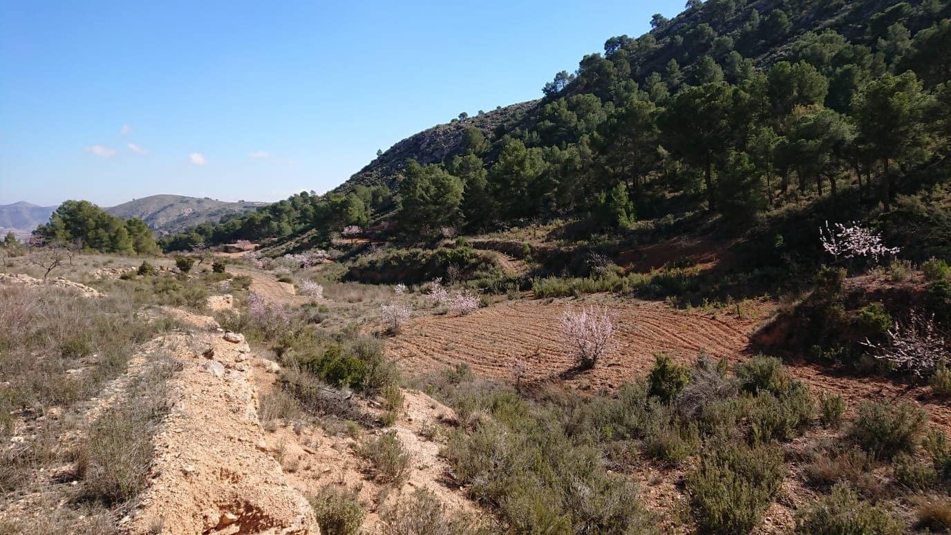 Terrain à Bâtir à vendre à Totana - 40 000 € (Ref: 7166410)