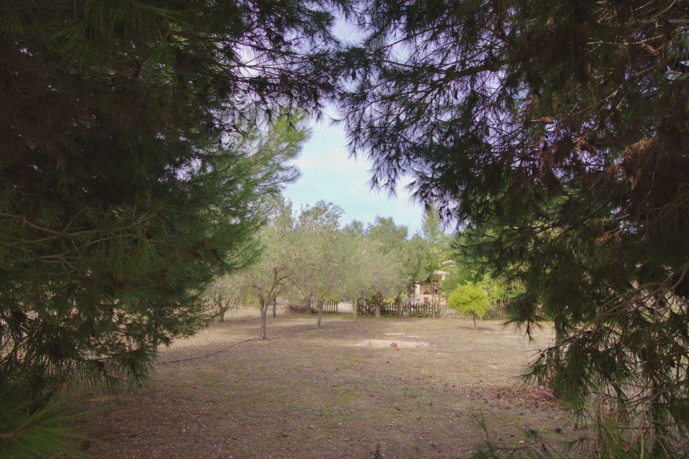 5 soveværelse Villa til salg i Valverde med swimmingpool garage - € 620.000 (Ref: 7213705)