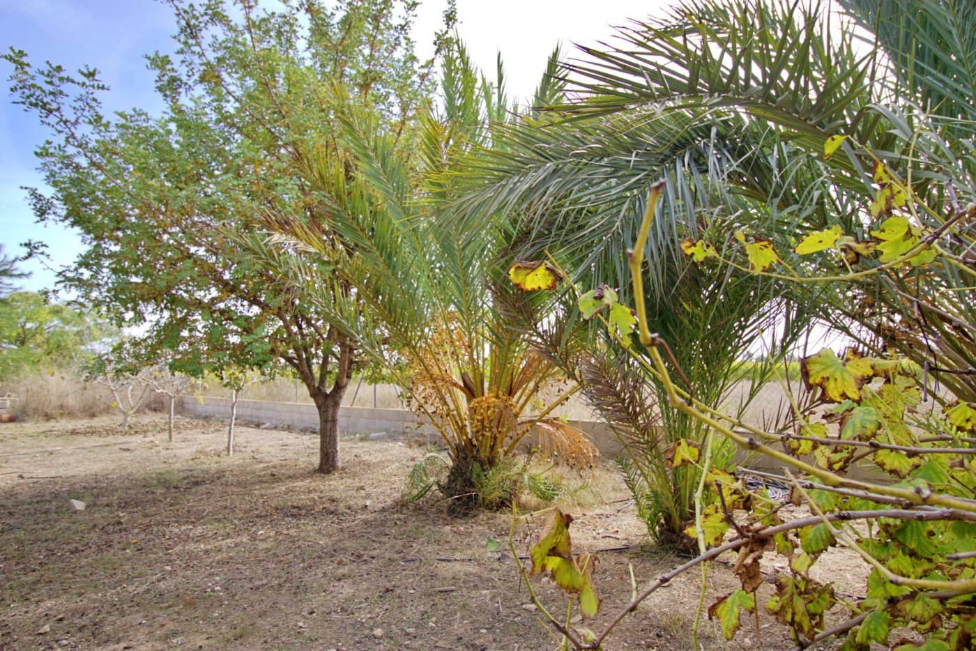 5 soveværelse Villa til salg i Valverde med swimmingpool garage - € 620.000 (Ref: 7213705)